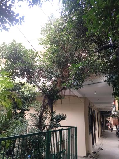 Naharpur Village, Sector 7 Rohini Building View 1