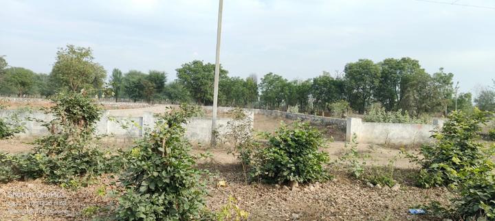 Jagatpura Main Image 1