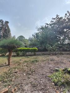 Green Field Plot View 3
