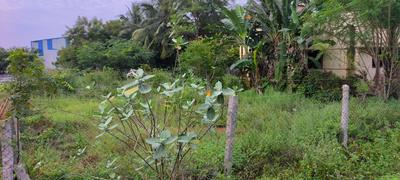 Mathur Plot View 2