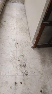 Image of 1100 Sq.ft 2 BHK Builder Floor for rent in Sector 15, Gurgaon for Rs. 22000