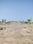 Apex Sunflower Valley Main Image 1