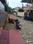 Amn vihr Main Image 1