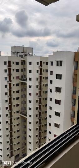 Hiland Greens More Images 1