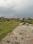 Doiwala Plot View 2