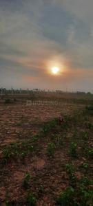 Image of 22000 Sq.ft Residential Plot / Land for sale in Mathur, Pudukkottai for Rs. 15400000