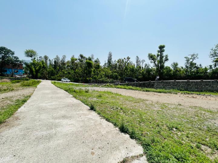 Badasi Green Main Image 1