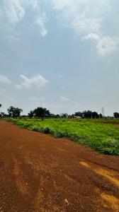 Image of 6000 Sq.ft Residential Plot / Land for sale in Paridhi Nidhivan Farm, Tatibandh, Raipur for Rs. 2850000