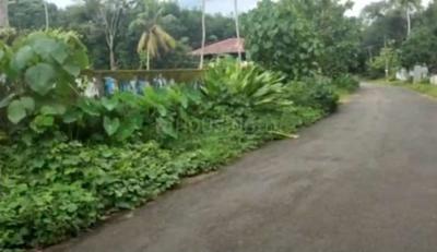 Image of 10000 Sq.ft Residential Plot / Land for sale in Kanakkary, Kottayam for Rs. 250000