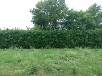 Mansha Oaks Plot View 2