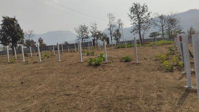 Image of 11000 Sq.ft Residential Plot / Land for sale in Shahapur, Thane for Rs. 2750000