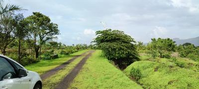Image of 4500 Sq.ft Residential Plot / Land for sale in Vilholi, Nashik for Rs. 8000000