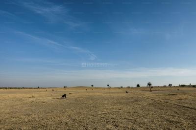 Image of 548778 Sq.ft Residential Plot / Land for sale in Visalpur, Ahmedabad for Rs. 270000000
