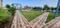 GODREJ CITY Plot View 2