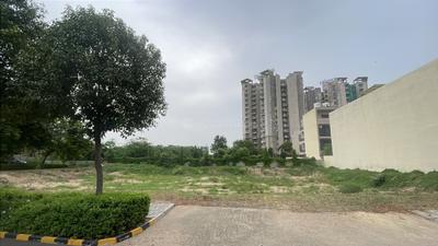 Experion The Westerlies Plot View 3