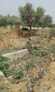 Prahlad Nagar Plot View 2