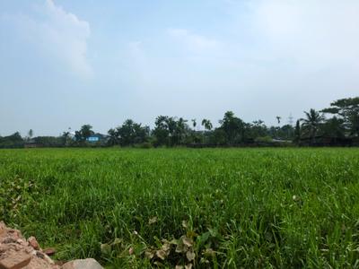 Image of 1440 Sq.ft Residential Plot / Land for sale in Wander Valley, Joka, Kolkata for Rs. 500055
