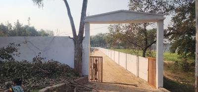 Bihta Plot View 2