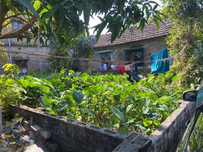 Sodepur Ghola Plot View 2