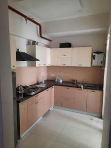 Kitchen Image of 1050 Sq.ft 2 BHK Apartment / Flat for rent in Sector 66 Mohali for Rs. 38000