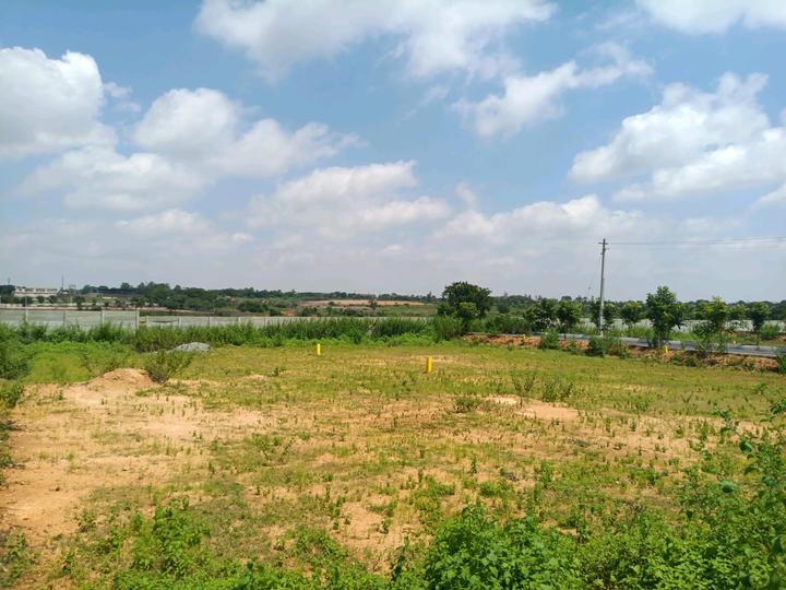 MS Developers Main Image 1