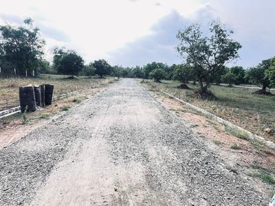Kothavalasa Plot View 1
