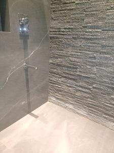 Common Bathroom Image of 710 Sq.ft 1 BHK Apartment / Flat for sale in Mahaavir Exotique Phase II, Taloja Navi Mumbai for Rs. 5200000