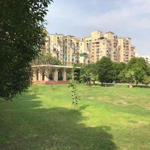 11 BHK Independent House