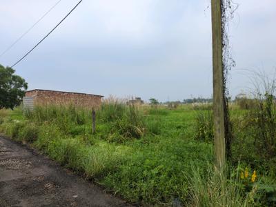 Wander Valley Plot View 2