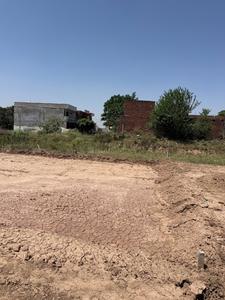 Image of 125 Sq.ft Residential Plot / Land for sale in Gillco Palms, Sector 115, Mohali for Rs. 8125000