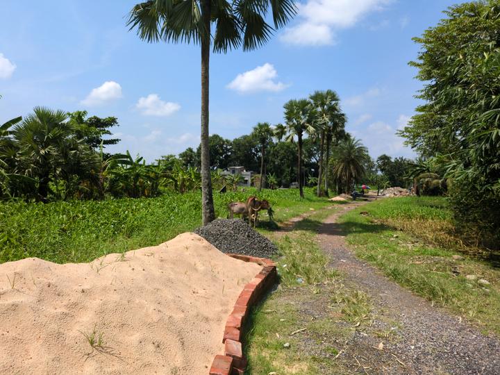 Diamond Park, Joka Main Image 1