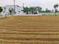 Kovilpalayam Plot View 2