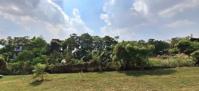Sec P 3 Plot View 2