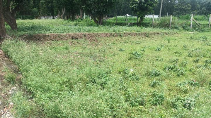 Vikasnagar Main Image 1