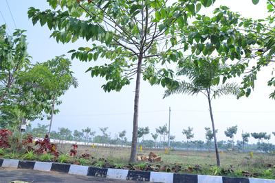 Residential Plot