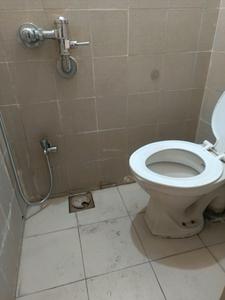 Common Bathroom Image of 650 Sq.ft 1 BHK Apartment / Flat for rent in Magarpatta Heliconia, Hadapsar Pune for Rs. 24000