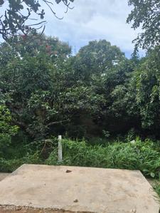Image of 1855 Sq.ft Residential Plot / Land for sale in Harapanahalli, Bengaluru for Rs. 7883750