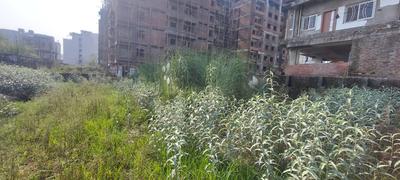 Usri Plot View 2