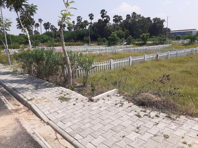 Residential Plot