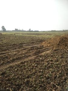 Kurkuri Plot View 1