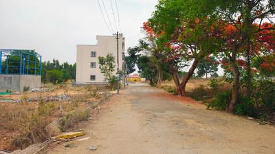 Residential Plot