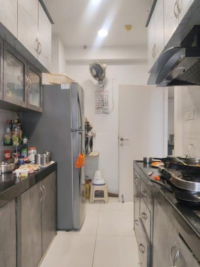 Merlin Iland Main Image 1