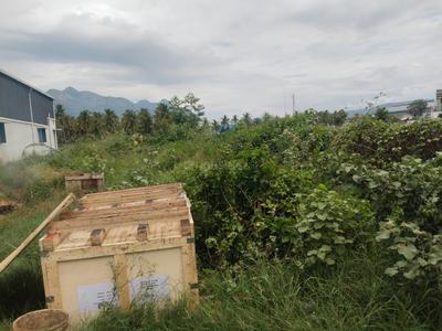 Idikarai Plot View 1