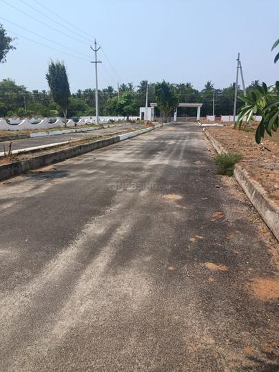 Bhogapuram Real Estates Main Image 1