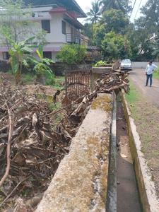 Image of 4138 Sq.ft Residential Plot / Land for sale in Kuttanellur, Thrissur for Rs. 9025000