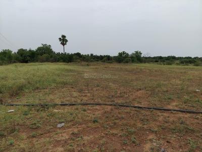 Agricultural Land