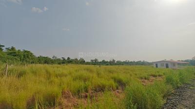 Image of 24000 Sq.ft Residential Plot / Land for sale in Murbad, Thane for Rs. 3955000