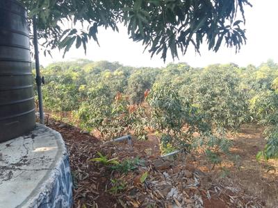 Image of 90000 Sq.ft Residential Plot / Land for sale in Trimbak, Nashik for Rs. 27500000