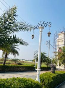 Palm corridor Plot View 2