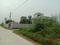 Apparent JB Garden Main Image 1